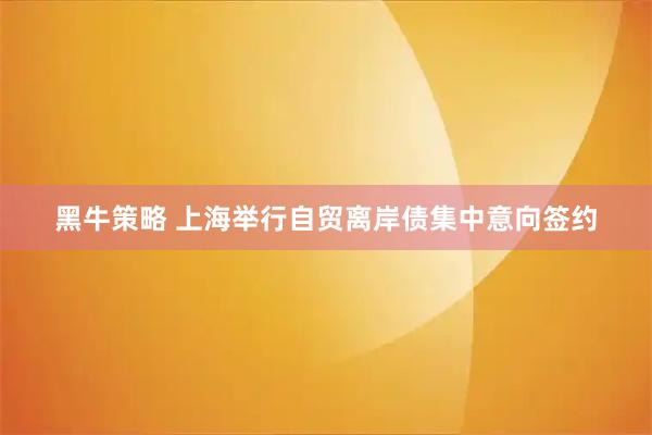 黑牛策略 上海举行自贸离岸债集中意向签约