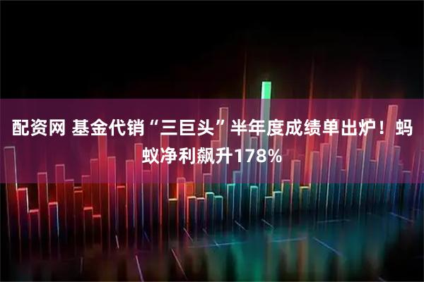 配资网 基金代销“三巨头”半年度成绩单出炉！蚂蚁净利飙升178%
